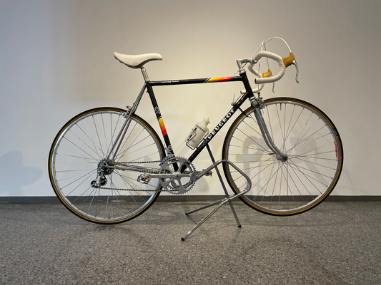 Peugeot racing team, 531 Professional